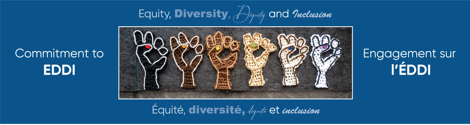equity diversity dignity and inclusion