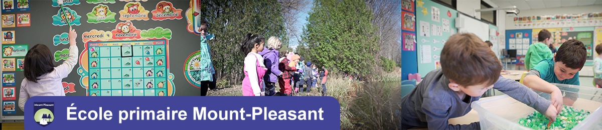 ecole primaire Mount Pleasant