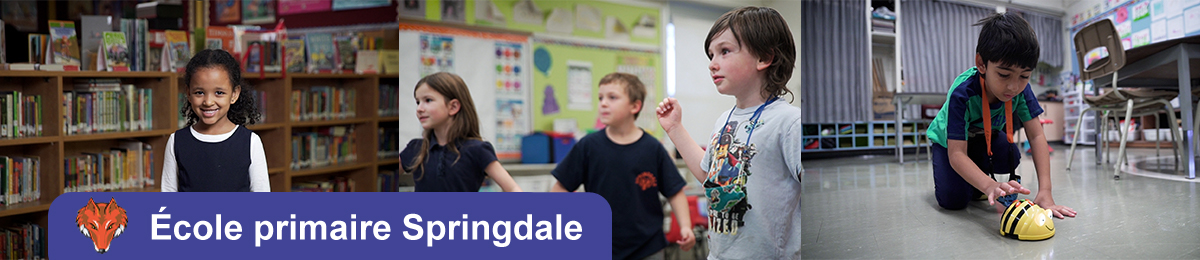 ecole primaire Springdale